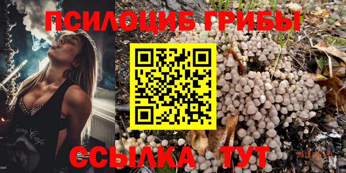 Псилоцибиновые грибы Cubensis Клинцы