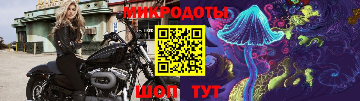 Галлюциногенные грибы Psilocybe  Вход с VPN  Клинцы 